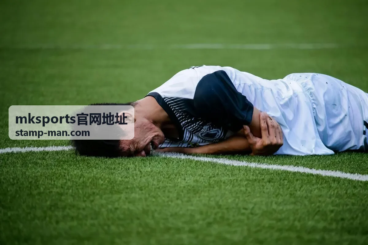 mksports官网地址赛后数据回看封面